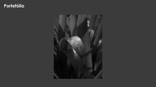 Portefólio

 