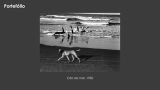 Portefólio

Cão de mar, 1950

 