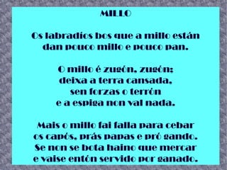 MILLO
Os labradíos bos que a millo están
dan pouco millo e pouco pan.
O millo é zugón, zugón;
deixa a terra cansada,
sen forzas o terrón
e a espiga non val nada.
Mais o millo fai falla para cebar
os capós, prás papas e pró gando.
Se non se bota haino que mercar
e vaise entón servido por ganado.
 