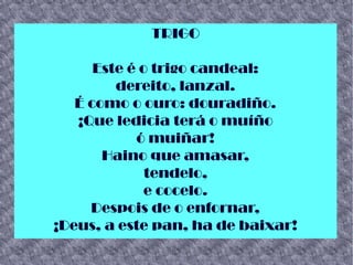 TRIGO
Este é o trigo candeal:
dereito, lanzal.
É como o ouro: douradiño.
¡Que ledicia terá o muíño
ó muiñar!
Haino que amasar,
tendelo,
e cocelo.
Despois de o enfornar,
¡Deus, a este pan, ha de baixar!
 