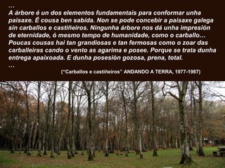 …
A árbore é un dos elementos fundamentais para conformar unha
paisaxe. É cousa ben sabida. Non se pode concebir a paisaxe galega
sin carballos e castiñeiros. Ningunha árbore nos dá unha impresión
de eternidade, ó mesmo tempo de humanidade, como o carballo…
Poucas cousas hai tan grandiosas e tan fermosas como o zoar das
carballeiras cando o vento as agarima e posee. Porque se trata dunha
entrega apaixoada. E dunha posesión gozosa, prena, total.
…
(“Carballos e castiñeiros” ANDANDO A TERRA, 1977-1987)
 