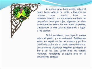 Al encontrarlo, boca abajo, sobre el
pasto lleno todavía de rocío, y levantar su
cabeza      para     mirarlo,    tuve      un
estremecimiento: la cara estaba cubierta de
pequeñas hormigas rojas, algunas de ellas
amontonadas sobre los cerrados párpados,
trabajando tal vez para atravesarlos y llegar
a las pupilas.
        Solté la cabeza, que cayó de nuevo
sobre el pasto, y me enderecé. Estábamos
solos, en aquel rincón , el muerto y yo. Era
un día de otoño, de un otoño seco y brillante.
Los primeros picaflores llegaban ya desde el
Sur y se les veía bailar ante los caquis
maduros, hundiendo el agudo pico en la
amarillenta corteza.
 
