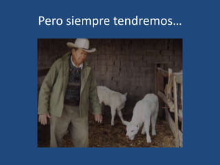 Pero siempre tendremos…

 