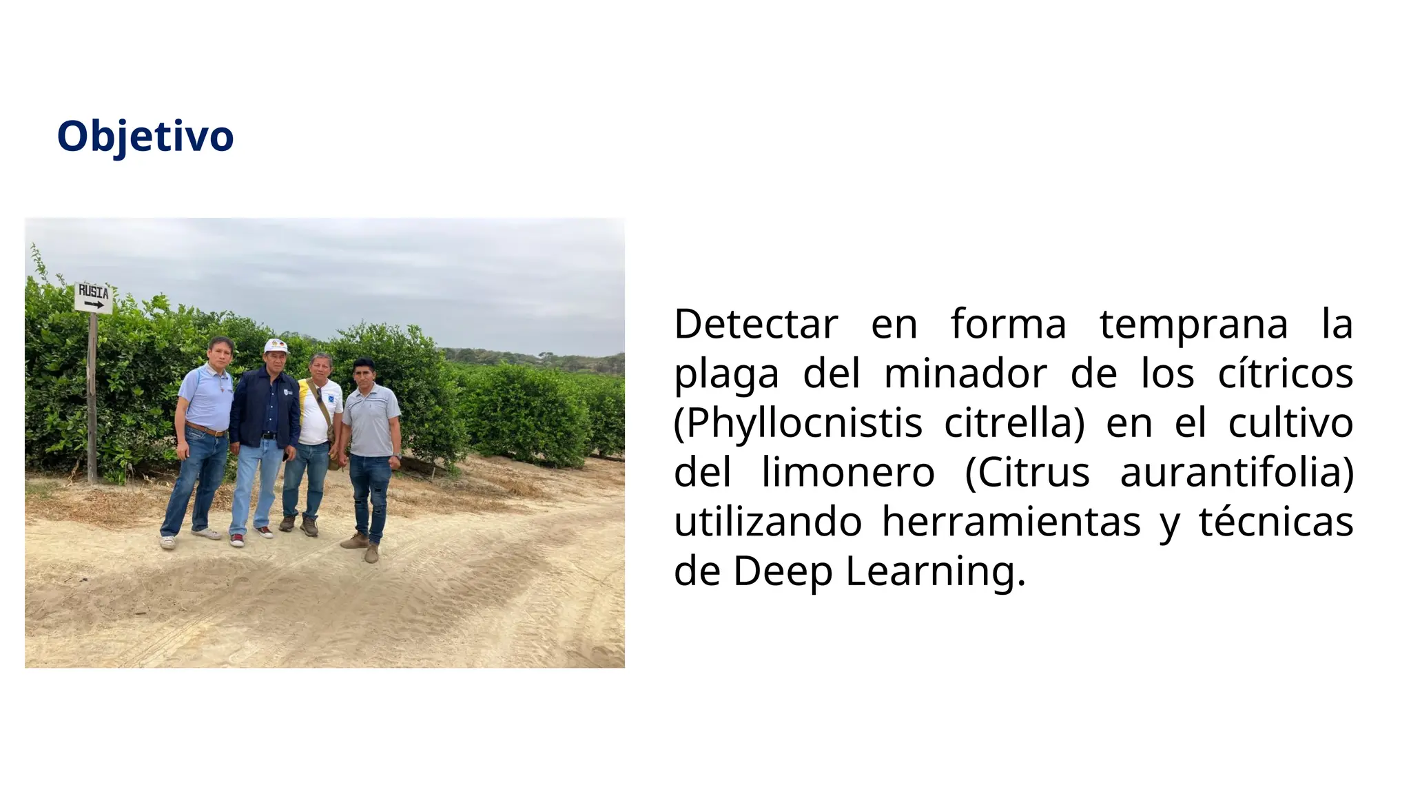 Detectar en forma temprana la
plaga del minador de los cítricos
(Phyllocnistis citrella) en el cultivo
del limonero (Citrus aurantifolia)
utilizando herramientas y técnicas
de Deep Learning.
Objetivo
 