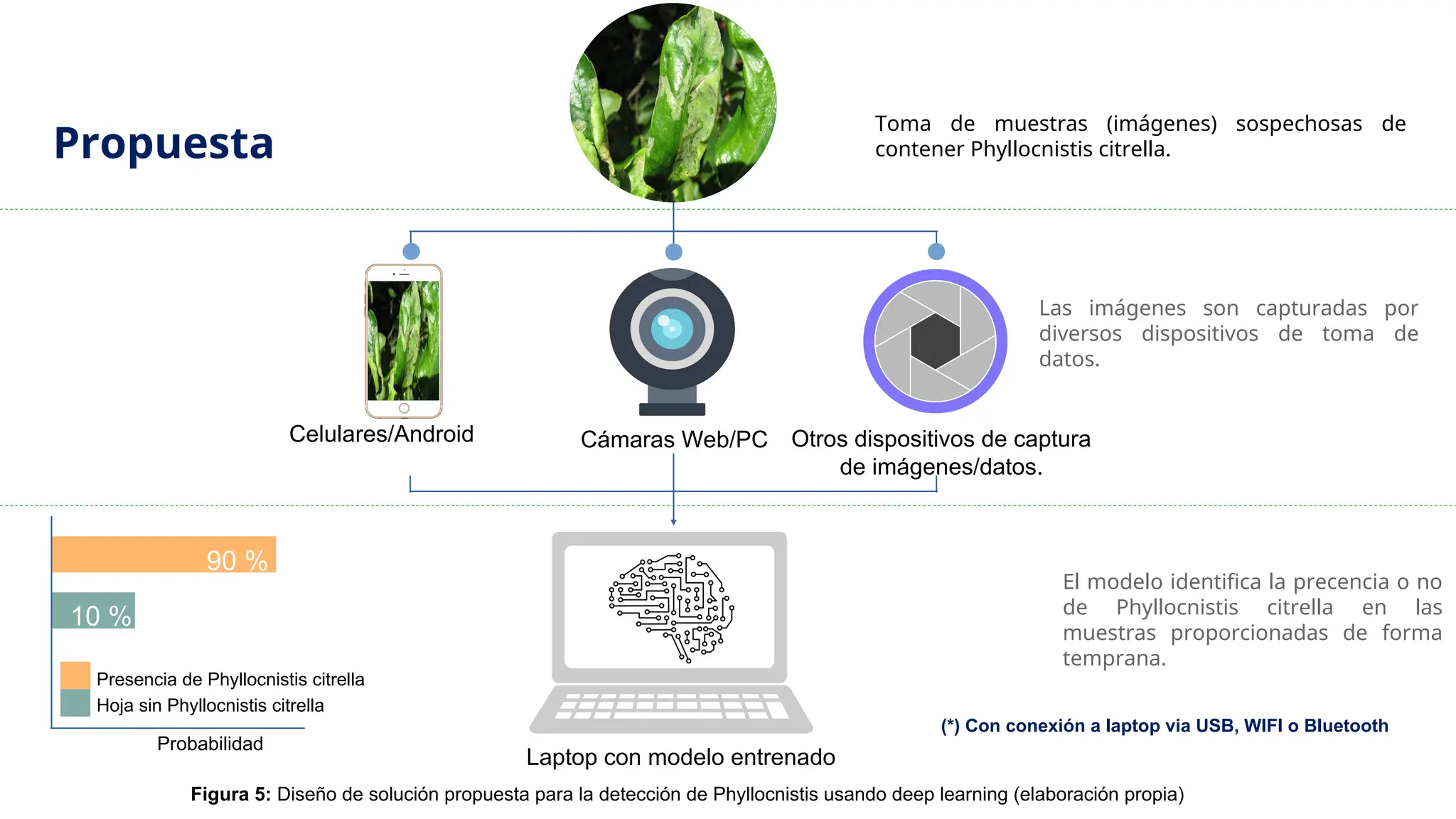 (*) Con conexión a laptop via USB, WIFI o Bluetooth
Otros dispositivos de captura
de imágenes/datos.
Celulares/Android Cámaras Web/PC
90 %
Presencia de Phyllocnistis citrella
Probabilidad
Hoja sin Phyllocnistis citrella
10 %
Laptop con modelo entrenado
Figura 5: Diseño de solución propuesta para la detección de Phyllocnistis usando deep learning (elaboración propia)
Toma de muestras (imágenes) sospechosas de
contener Phyllocnistis citrella.
Las imágenes son capturadas por
diversos dispositivos de toma de
datos.
El modelo identifica la precencia o no
de Phyllocnistis citrella en las
muestras proporcionadas de forma
temprana.
Propuesta
 