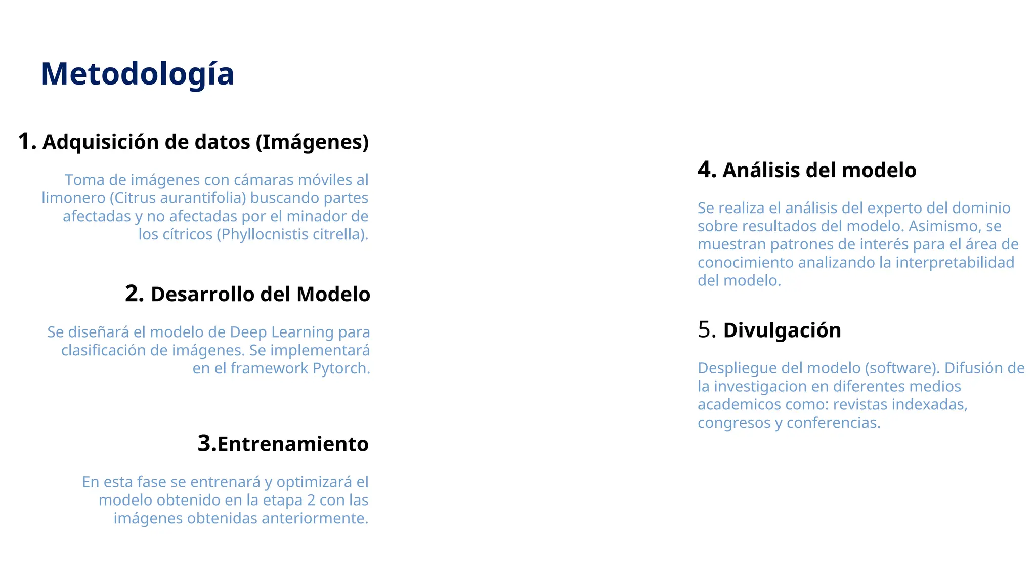 Toma de imágenes con cámaras móviles al
limonero (Citrus aurantifolia) buscando partes
afectadas y no afectadas por el minador de
los cítricos (Phyllocnistis citrella).
1. Adquisición de datos (Imágenes)
Se diseñará el modelo de Deep Learning para
clasificación de imágenes. Se implementará
en el framework Pytorch.
2. Desarrollo del Modelo
En esta fase se entrenará y optimizará el
modelo obtenido en la etapa 2 con las
imágenes obtenidas anteriormente.
3.Entrenamiento
Despliegue del modelo (software). Difusión de
la investigacion en diferentes medios
academicos como: revistas indexadas,
congresos y conferencias.
5. Divulgación
Se realiza el análisis del experto del dominio
sobre resultados del modelo. Asimismo, se
muestran patrones de interés para el área de
conocimiento analizando la interpretabilidad
del modelo.
4. Análisis del modelo
Metodología
 
