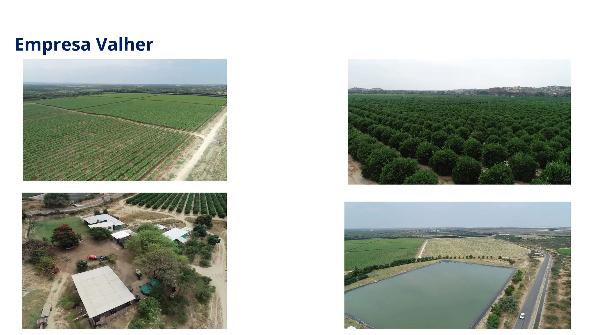 Empresa Valher
 