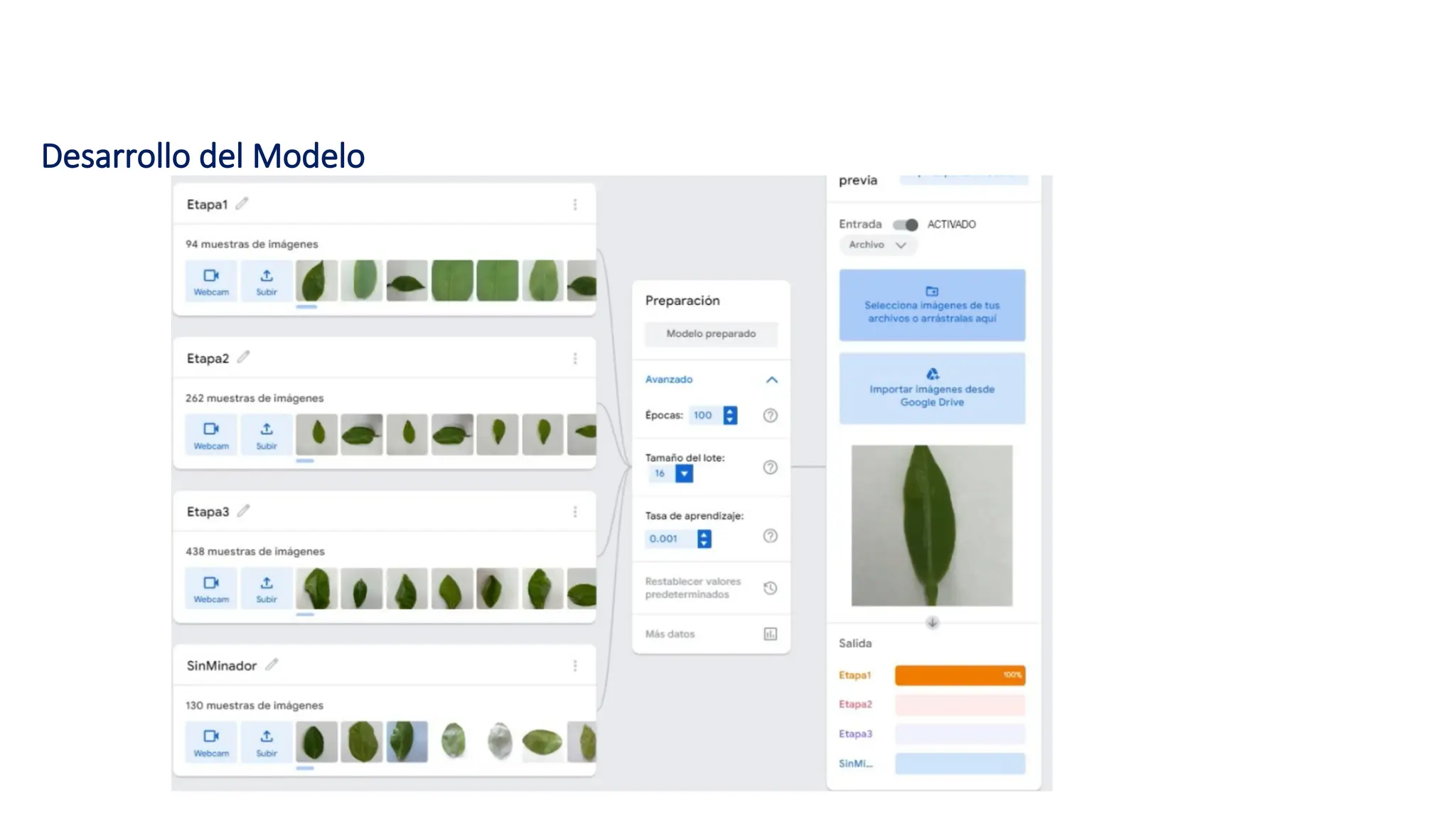 Desarrollo del Modelo
 