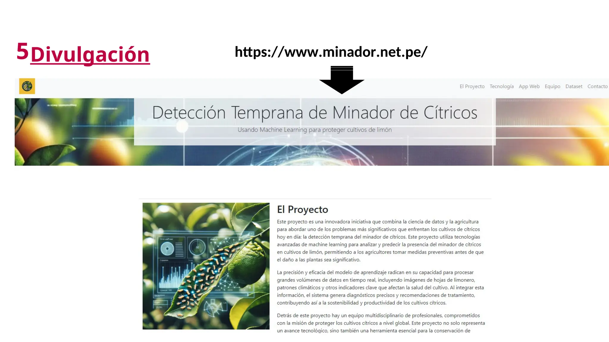 Divulgación
5 https://www.minador.net.pe/
 
