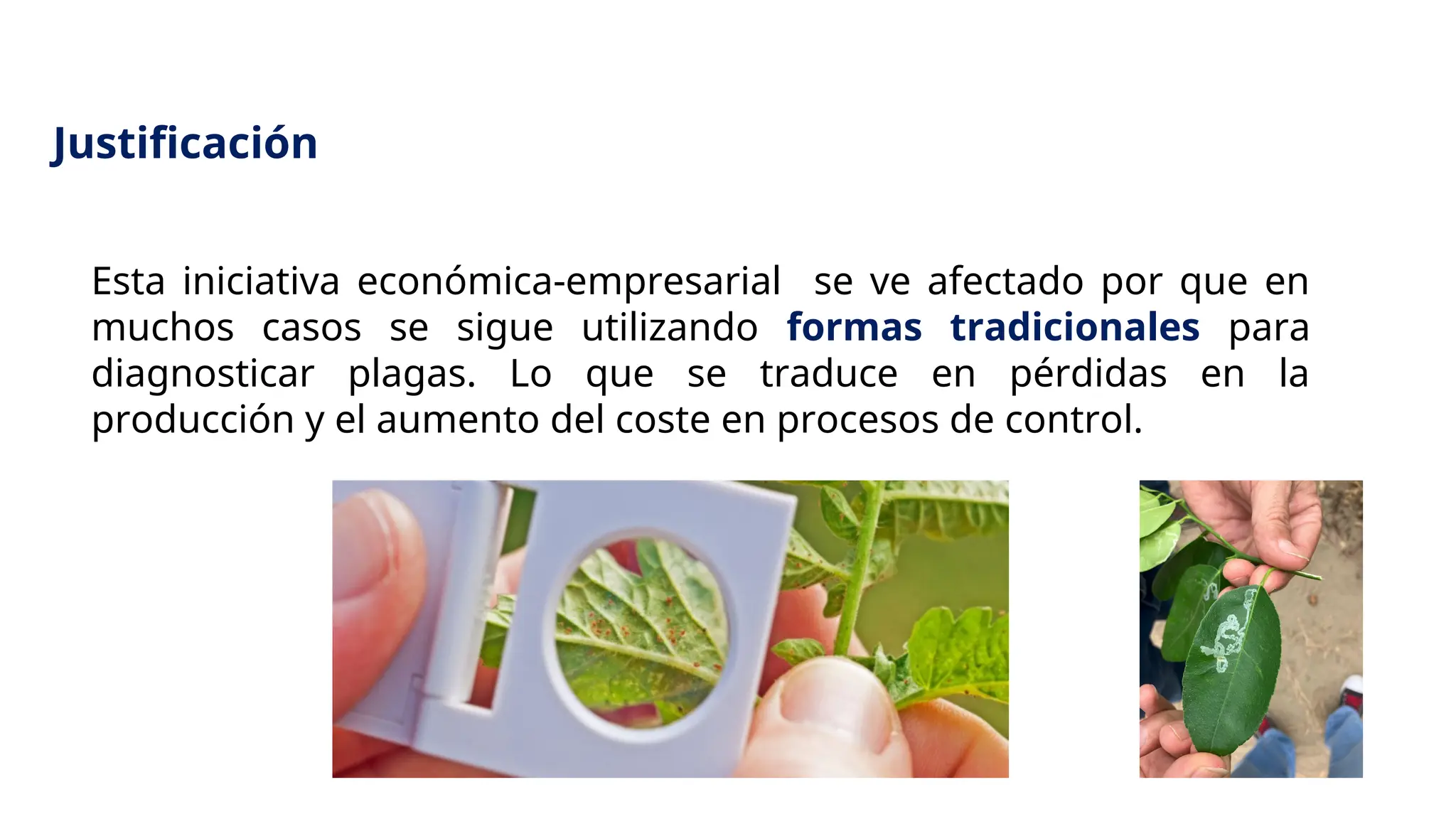 Justificación
Esta iniciativa económica-empresarial se ve afectado por que en
muchos casos se sigue utilizando formas tradicionales para
diagnosticar plagas. Lo que se traduce en pérdidas en la
producción y el aumento del coste en procesos de control.
 