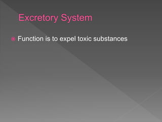  Function is to expel toxic substances
 