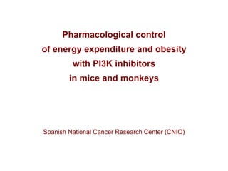 Pharmacological control
of energy expenditure and obesity
with PI3K inhibitors
in mice and monkeys
Spanish National Cancer Research Center (CNIO)
 