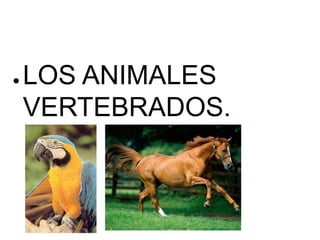 ●   LOS ANIMALES
    VERTEBRADOS.
 