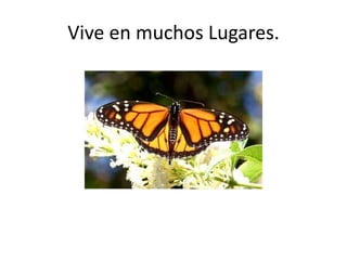 Vive en muchos Lugares.
 