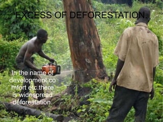 EXCESS OF DEFORESTATION.
In the name of
development,co
mfort etc.there
is widespread
deforestation.
 