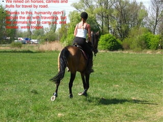 ● We relied on horses, camels and
bulls for travel by road.
● Thanks to this, humanity didn't
pollute the air with travelling, but
the animals had to carry us, and
travels were longer.
 