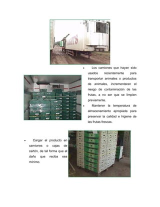 • Los camiones que hayan sido
usados recientemente para
transportar animales o productos
de animales, incrementaran el
riesgo de contaminación de las
frutas, a no ser que se limpien
previamente.
• Mantener la temperatura de
almacenamiento apropiada para
preservar la calidad e higiene de
las frutas frescas.
• Cargar el producto en
camiones o cajas de
cartón, de tal forma que el
daño que reciba sea
mínimo.
 