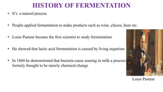 Who Invented Fermentation Process MANUFACTURE OF BREAD | PPTX