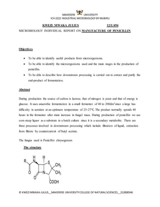 MAKERERE UNIVERSITY
ICH 2222 INDUSTRIAL MICROBIOLOGY BY MUBIRU
© KWEZIMWAKA JULIUS__MAKERERE UNIVERSITYCOLLEGE OF NATURALSCIENCES__212000546
KWEZI MWAKA JULIUS 12/U/494
MICROBIOLOGY INDIVIDUAL REPORT ON MANUFACTURE OF PENICILLIN
Objectives
 To be able to identify useful products from microorganisms.
 To be able to identify the microorganisms used and the main stages in the production of
penicillin.
 To be able to describe how downstream processing is carried out to extract and purify the
end‐product of fermentation.
Abstract
During production the source of carbon is lactose, that of nitrogen is yeast and that of energy is
glucose. It uses anaerobic fermentation in a small fermenter of 40 to 200dm3since a large has
difficulty in aeration at an optimum temperature of 25-27℃. The product normally spends 40
hours in the fermenter after main increase in fungal mass. During production of penicillin we use
corn steep liquor as a substrate in a batch culture since it is a secondary metabolite. There are
three processes involved in downstream processing which include filtration of liquid, extraction
from filtrate by countercurrent of butyl acetate.
The fungus used is Penicillin chrysogenum
The structure
 