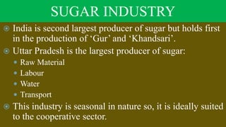 SUGAR INDUSTRY
 India is second largest producer of sugar but holds first
in the production of ‘Gur’ and ‘Khandsari’.
 Uttar Pradesh is the largest producer of sugar:
 Raw Material
 Labour
 Water
 Transport
 This industry is seasonal in nature so, it is ideally suited
to the cooperative sector.
 
