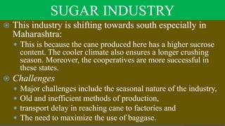 SUGAR INDUSTRY
 This industry is shifting towards south especially in
Maharashtra:
 This is because the cane produced here has a higher sucrose
content. The cooler climate also ensures a longer crushing
season. Moreover, the cooperatives are more successful in
these states.
 Challenges
 Major challenges include the seasonal nature of the industry,
 Old and inefficient methods of production,
 transport delay in reaching cane to factories and
 The need to maximize the use of baggase.
 