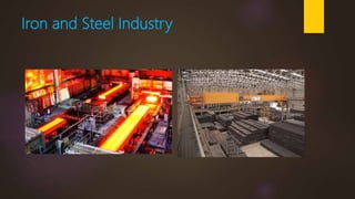 Iron and Steel Industry
 