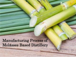 Manufacturing Process of
Molasses Based Distillery
 