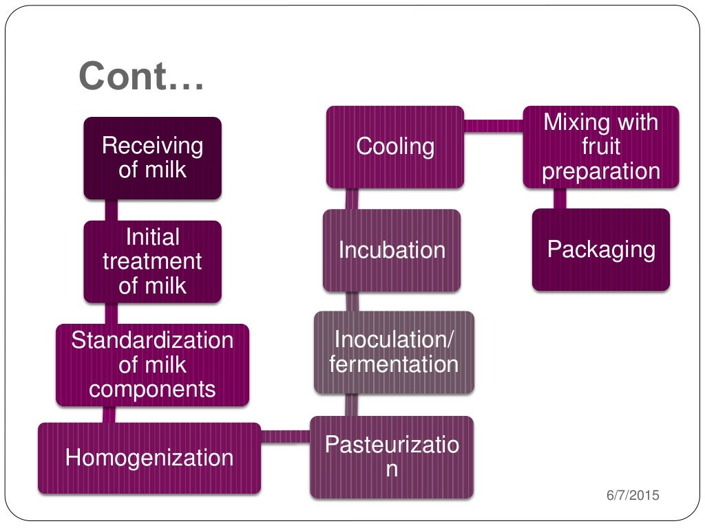 Manufacturing process of yogurt and dahi