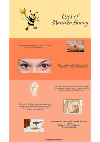 Manuka honey infography