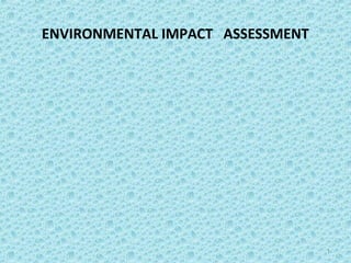 environmental impact assessment 