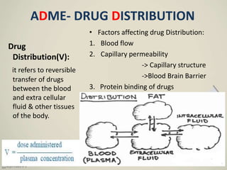 ADME- DRUG DISTRIBUTION
Drug
Distribution(V):
it refers to reversible
transfer of drugs
between the blood
and extra cellular
fluid & other tissues
of the body.
• Factors affecting drug Distribution:
1. Blood flow
2. Capillary permeability
-> Capillary structure
->Blood Brain Barrier
3. Protein binding of drugs
 