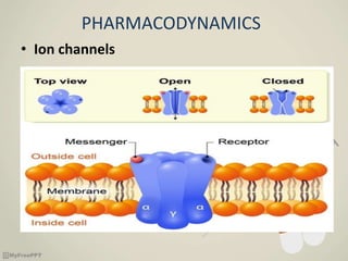 PHARMACODYNAMICS
• Ion channels
 