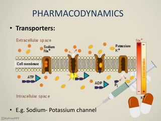 PHARMACODYNAMICS
• Transporters:
• E.g. Sodium- Potassium channel
 