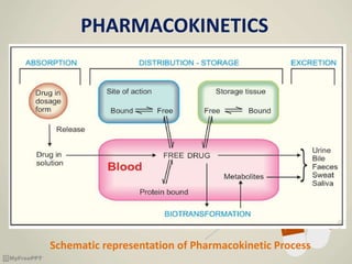 PHARMACOKINETICS
Schematic representation of Pharmacokinetic Process
 