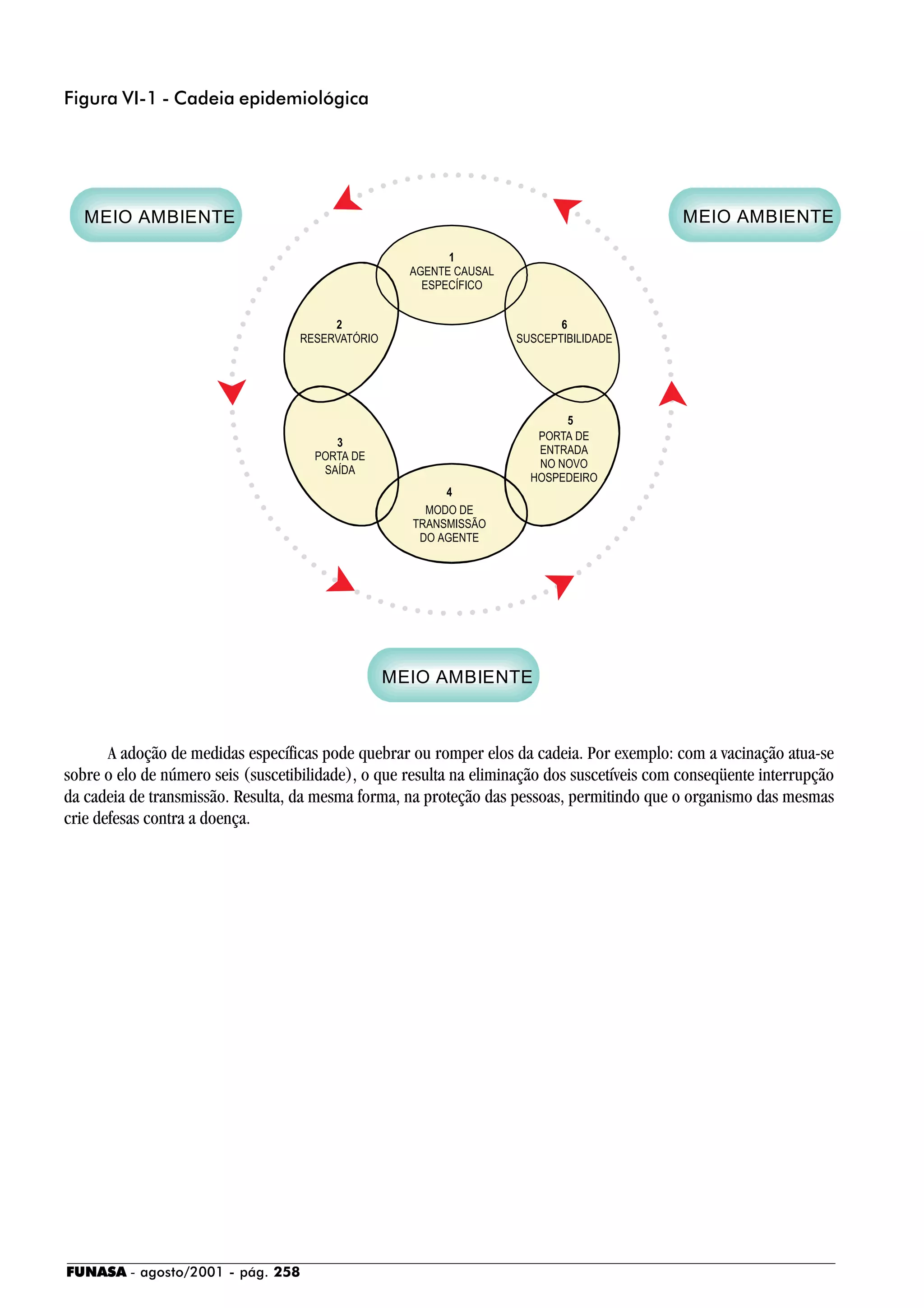 FUNASA - agosto/2001 - pág. 258
A adoção de medidas específicas pode quebrar ou romper elos da cadeia. Por exemplo: com a vacinação atua-se
sobre o elo de número seis (suscetibilidade), o que resulta na eliminação dos suscetíveis com conseqüente interrupção
da cadeia de transmissão. Resulta, da mesma forma, na proteção das pessoas, permitindo que o organismo das mesmas
crie defesas contra a doença.
Figura VI-1 - Cadeia epidemiológica
 