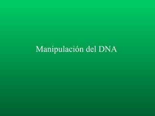 Manipulación del DNA  