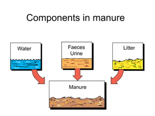 Components in manure 
Faeces 
Urine 
Water Litter 
Manure 
 