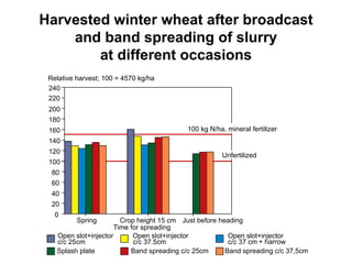 Harvested winter wheat after broadcast 
and band spreading of slurry 
at different occasions 
Relative harvest; 100 = 4570 kg/ha 
Spring Crop height 15 cm 
Time for spreading 
240 
220 
200 
180 
140 
120 
100 
80 
60 
40 
20 
0 
100 kg N/ha, mineral fertilizer 
Unfertilized 
160 
Just before heading 
Open slot+injector 
Open slot+injector 
Open slot+injector 
c/c 25cm 
c/c 37.5cm 
c/c 37 cm + harrow 
Splash plate Band spreading c/c 25cm Band spreading c/c 37,5cm 
 
