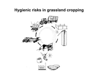 Hygienic risks in grassland cropping 
