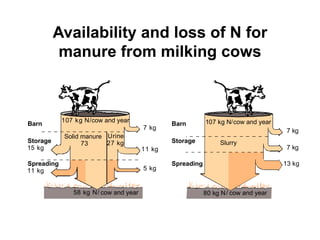 Availability and loss of N for 
manure from milking cows 
Barn 
15 kg 
11 kg 
58 kg N/ 
11 kg 
5 kg 
27 kg 
7 kg 
73 
7 kg 
7 kg 
13 kg 
Storage Slurry 
Spreading 
107 kg N/cow and year 
Solid manure Urine 
cow and year 
Barn 
Storage 
Spreading 
107 kg N/cow and year 
80 kg N/ cow and year 
 