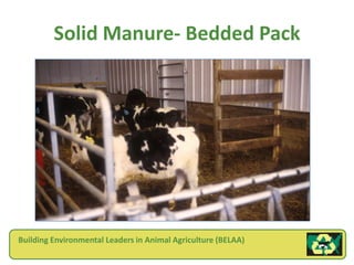 Solid Manure- Bedded Pack




Building Environmental Leaders in Animal Agriculture (BELAA)
 