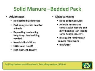 Solid Manure –Bedded Pack
• Advantages                                  • Disadvantages
      No need to build storage                     Need bedding source
      Pack can generate heat for                   Animals in constant
       animals                                       contact with manure and
                                                     dirty bedding- can lead to
      Depending on cleaning
                                                     some health concerns
       frequency- less bedding
       needed                                       Infrequent removal can
                                                    require more work
      No rainfall additions
                                                    Flies/Odor
      Little to no runoff
      High nutrient density




Building Environmental Leaders in Animal Agriculture (BELAA)
 