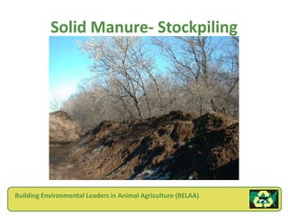 Solid Manure- Stockpiling




Building Environmental Leaders in Animal Agriculture (BELAA)
 