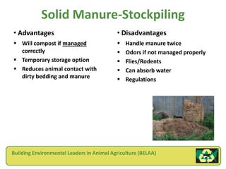 Solid Manure-Stockpiling
• Advantages                               • Disadvantages
 Will compost if managed                     Handle manure twice
  correctly                                   Odors if not managed properly
 Temporary storage option                    Flies/Rodents
 Reduces animal contact with                 Can absorb water
  dirty bedding and manure                    Regulations




Building Environmental Leaders in Animal Agriculture (BELAA)
 