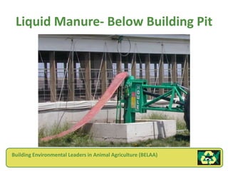 Liquid Manure- Below Building Pit




Building Environmental Leaders in Animal Agriculture (BELAA)
 