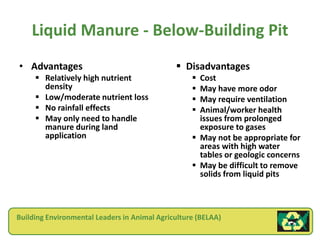 Liquid Manure - Below-Building Pit
• Advantages                                   Disadvantages
      Relatively high nutrient                     Cost
       density                                      May have more odor
      Low/moderate nutrient loss                   May require ventilation
      No rainfall effects                          Animal/worker health
      May only need to handle                       issues from prolonged
       manure during land                            exposure to gases
       application                                  May not be appropriate for
                                                     areas with high water
                                                     tables or geologic concerns
                                                    May be difficult to remove
                                                     solids from liquid pits



Building Environmental Leaders in Animal Agriculture (BELAA)
 