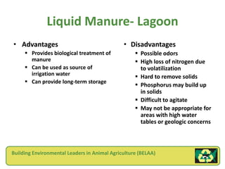 Liquid Manure- Lagoon
• Advantages                                  • Disadvantages
      Provides biological treatment of             Possible odors
       manure                                       High loss of nitrogen due
      Can be used as source of                      to volatilization
       irrigation water                             Hard to remove solids
      Can provide long-term storage
                                                    Phosphorus may build up
                                                     in solids
                                                    Difficult to agitate
                                                    May not be appropriate for
                                                     areas with high water
                                                     tables or geologic concerns



Building Environmental Leaders in Animal Agriculture (BELAA)
 