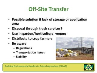 Off-Site Transfer
   • Possible solution if lack of storage or application
     area
   • Disposal through trash services?
   • Use in garden/horticultural venues
   • Distribute to crop farmers
   • Be aware
       – Regulations
       – Transportation Issues
       – Liability

Building Environmental Leaders in Animal Agriculture (BELAA)
 