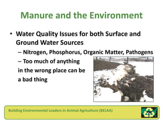 Manure and the Environment
• Water Quality Issues for both Surface and
  Ground Water Sources
     – Nitrogen, Phosphorus, Organic Matter, Pathogens
     – Too much of anything
     in the wrong place can be
     a bad thing



Building Environmental Leaders in Animal Agriculture (BELAA)
 