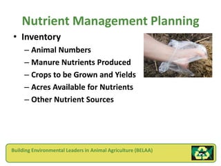 Nutrient Management Planning
• Inventory
     – Animal Numbers
     – Manure Nutrients Produced
     – Crops to be Grown and Yields
     – Acres Available for Nutrients
     – Other Nutrient Sources




Building Environmental Leaders in Animal Agriculture (BELAA)
 